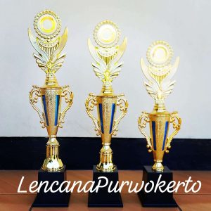 PIALA LP_D002