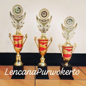 PIALA LP_D023