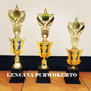 PIALA LP_C003